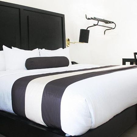 Hotel El Camino Inn & Suites Reynosa Εξωτερικό φωτογραφία